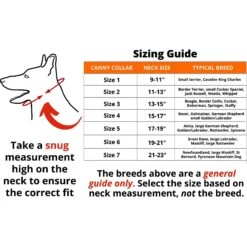 Canny No Pull Padded Dog Training Head Collar 13 Canny No Pull Padded Dog Training Head Collar -PetSafe Kong Shop 359462 PT5. AC SS1800 V1642720669