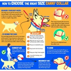 Canny No Pull Padded Dog Training Head Collar 14 Canny No Pull Padded Dog Training Head Collar -PetSafe Kong Shop 359462 PT6. AC SS1800 V1642717644