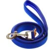 Canny Standard Dog Leash For Use With Canny Collar