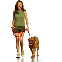 Canny Standard Dog Leash For Use With Canny Collar -PetSafe Kong Shop 359484 PT2. AC SS1800 V1642720040