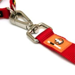 Canny Connect Dog Leash With Lockable Fixed Point Buckle -PetSafe Kong Shop 359492 PT2. AC SS1800 V1642719120