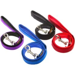 Canny Connect Dog Leash With Lockable Fixed Point Buckle -PetSafe Kong Shop 359492 PT4. AC SS1800 V1642719428
