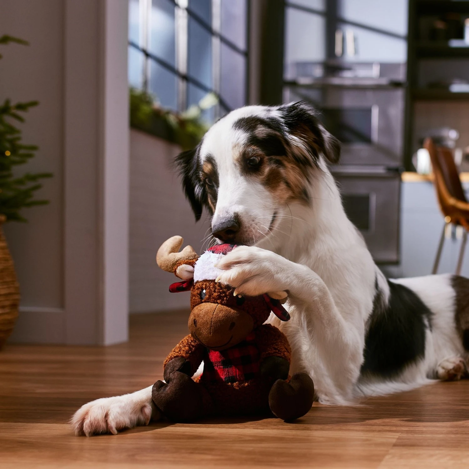 Frisco Holiday Cozy Moose Plush Squeaky Dog Toy 3 Frisco Holiday Cozy Moose Plush Squeaky Dog Toy - Image 3