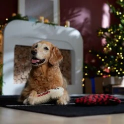 Frisco Holiday "Happy Pawlidays" Bone Plush Squeaky Dog Toy, Medium, 2 Count -PetSafe Kong Shop 360942 PT3. AC SS1800 V1661874360