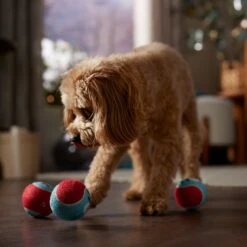 Frisco Holiday Ho Ho Ho Fetch Squeaky Tennis Ball Dog Toy -PetSafe Kong Shop 360952 PT3. AC SS1800 V1661874421