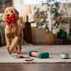 Frisco Holiday Gift Wrapping Set Plush Squeaky Dog Toy 7 Frisco Holiday Gift Wrapping Set Plush Squeaky Dog Toy -PetSafe Kong Shop 360968 PT3. AC SS1800 V1661874420