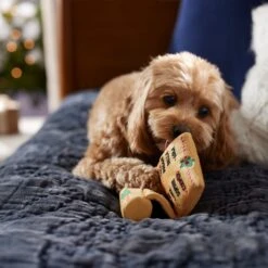 Frisco Holiday Santa's List Plush & TPR Inside Dog Toy -PetSafe Kong Shop 360970 PT3. AC SS1800 V1661874421