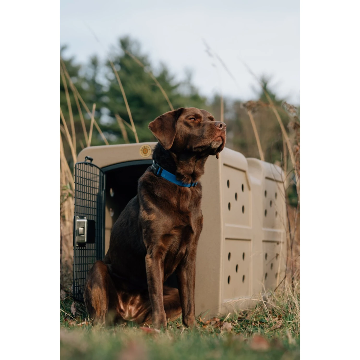 Dakota 283 G3 Framed Door Dog Kennel 3 Dakota 283 G3 Framed Door Dog Kennel - Image 3
