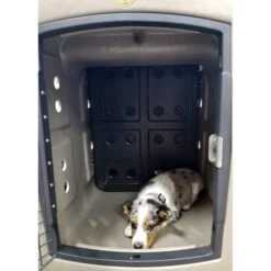 Dakota 283 Forever Insert Dakota Guard Antimicrobial Dog Kennel Divider 9 Dakota 283 Forever Insert Dakota Guard Antimicrobial Dog Kennel Divider -PetSafe Kong Shop 361576 PT4. AC SS1800 V1679679327