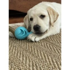 Hugglehounds Okko Tuffut-Flex Ball Dog Toy, Blue -PetSafe Kong Shop 362021 PT8. AC SS1800 V1644015169