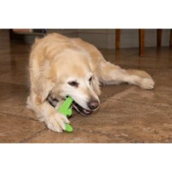 Hugglehounds LeLe Tuffut-Flex Flyer Dog Toy, Green -PetSafe Kong Shop 362026 PT7. AC SS1800 V1644018113