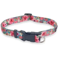 FearLess Pet Safe Cinch Dog Collar