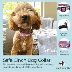FearLess Pet Safe Cinch Dog Collar -PetSafe Kong Shop 362479 PT4. AC SS1800 V1693245025