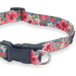 FearLess Pet Safe Cinch Dog Collar -PetSafe Kong Shop 362479 PT5. AC SS1800 V1693237773