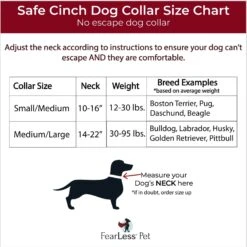 FearLess Pet Safe Cinch Dog Collar -PetSafe Kong Shop 362479 PT6. AC SS1800 V1693244245