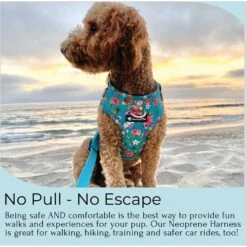 FearLess Pet Adjustable No Pull No Escape Neoprene Dog Harness 11 FearLess Pet Adjustable No Pull No Escape Neoprene Dog Harness -PetSafe Kong Shop 362491 PT2. AC SS1800 V1693245569