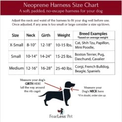 FearLess Pet Adjustable No Pull No Escape Neoprene Dog Harness 15 FearLess Pet Adjustable No Pull No Escape Neoprene Dog Harness -PetSafe Kong Shop 362491 PT6. AC SS1800 V1693245923