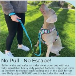 FearLess Pet Heavy Duty Padded Adjustable No Pull No Escape Dog Harness -PetSafe Kong Shop 362501 PT2. AC SS1800 V1692388690