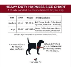 FearLess Pet Heavy Duty Padded Adjustable No Pull No Escape Dog Harness -PetSafe Kong Shop 362501 PT5. AC SS1800 V1692388747