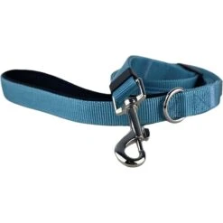 FearLess Pet Padded Handle Adjustable Dog Leash