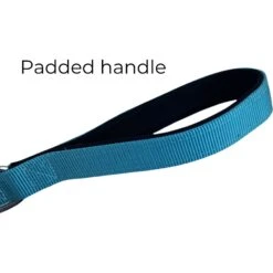 FearLess Pet Padded Handle Adjustable Dog Leash -PetSafe Kong Shop 362507 PT4. AC SS1800 V1649812294