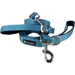 FearLess Pet Padded Handle Adjustable Dog Leash -PetSafe Kong Shop 362507 PT8. AC SS1800 V1649814394