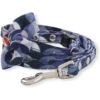 Necoichi Daruma Charm Polyester Standard Dog Leash, One Size