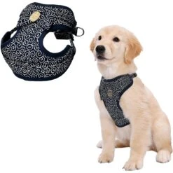 Necoichi Ninja Rayon Dog Harness -PetSafe Kong Shop 362786 PT5. AC SS1800 V1649753186