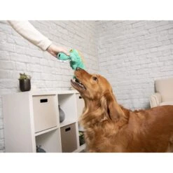 TrustyPup Gator Silent Squeak Dog Toy, Teal, Large 10 TrustyPup Gator Silent Squeak Dog Toy, Teal, Large -PetSafe Kong Shop 362802 PT4. AC SS1800 V1642635766