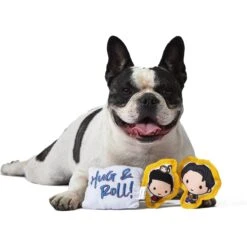 Fetch For Pets Friends V-Day "Hug & Roll" Canvas Squeaky Dog Toy, 3 Count -PetSafe Kong Shop 362991 PT3. AC SS1800 V1643062031