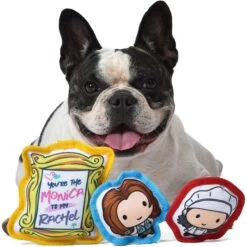 Fetch For Pets Friends V-Day "Better Together" Canvas Squeaky Dog Toy, 3 Count -PetSafe Kong Shop 362993 PT3. AC SS1800 V1643061912