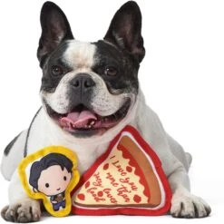 Fetch For Pets Friends V-Day "Love Food" Canvas Squeaky Dog Toy, 2 Count -PetSafe Kong Shop 362995 PT3. AC SS1800 V1643061404