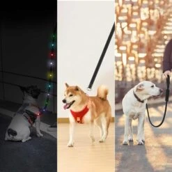 PATPET Safety Water Resistant Flashing Light LED Dog Leash -PetSafe Kong Shop 363150 PT2. AC SS1800 V1658206271