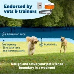 PetSafe Classic In-Ground Fence Rechargeable Receiver Dog & Cat Collar -PetSafe Kong Shop 363240 PT1. AC SS1800 V1685629501