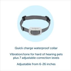PetSafe Classic In-Ground Fence Rechargeable Receiver Dog & Cat Collar -PetSafe Kong Shop 363240 PT2. AC SS1800 V1685631999