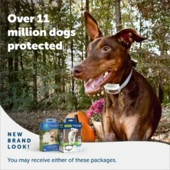 PetSafe Classic In-Ground Fence Rechargeable Receiver Dog & Cat Collar -PetSafe Kong Shop 363240 PT5. AC SS1800 V1685629499