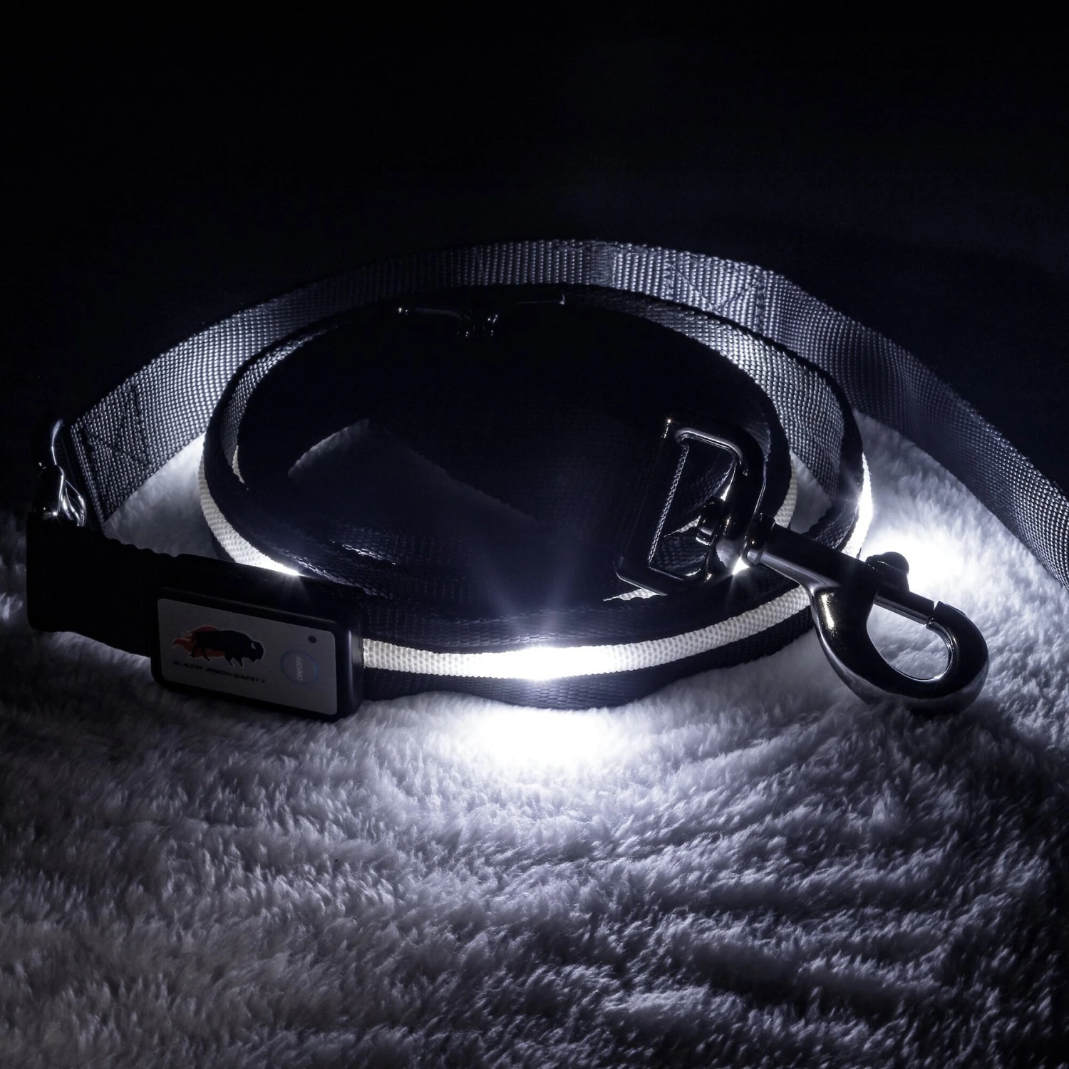 Blazin' Safety LED Dog Leash 1 Blazin' Safety LED Dog Leash