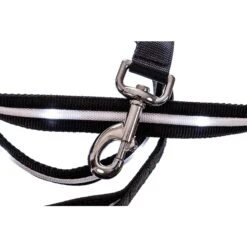 Blazin' Safety LED Dog Leash 10 Blazin' Safety LED Dog Leash -PetSafe Kong Shop 363298 PT2. AC SS1800 V1645119982
