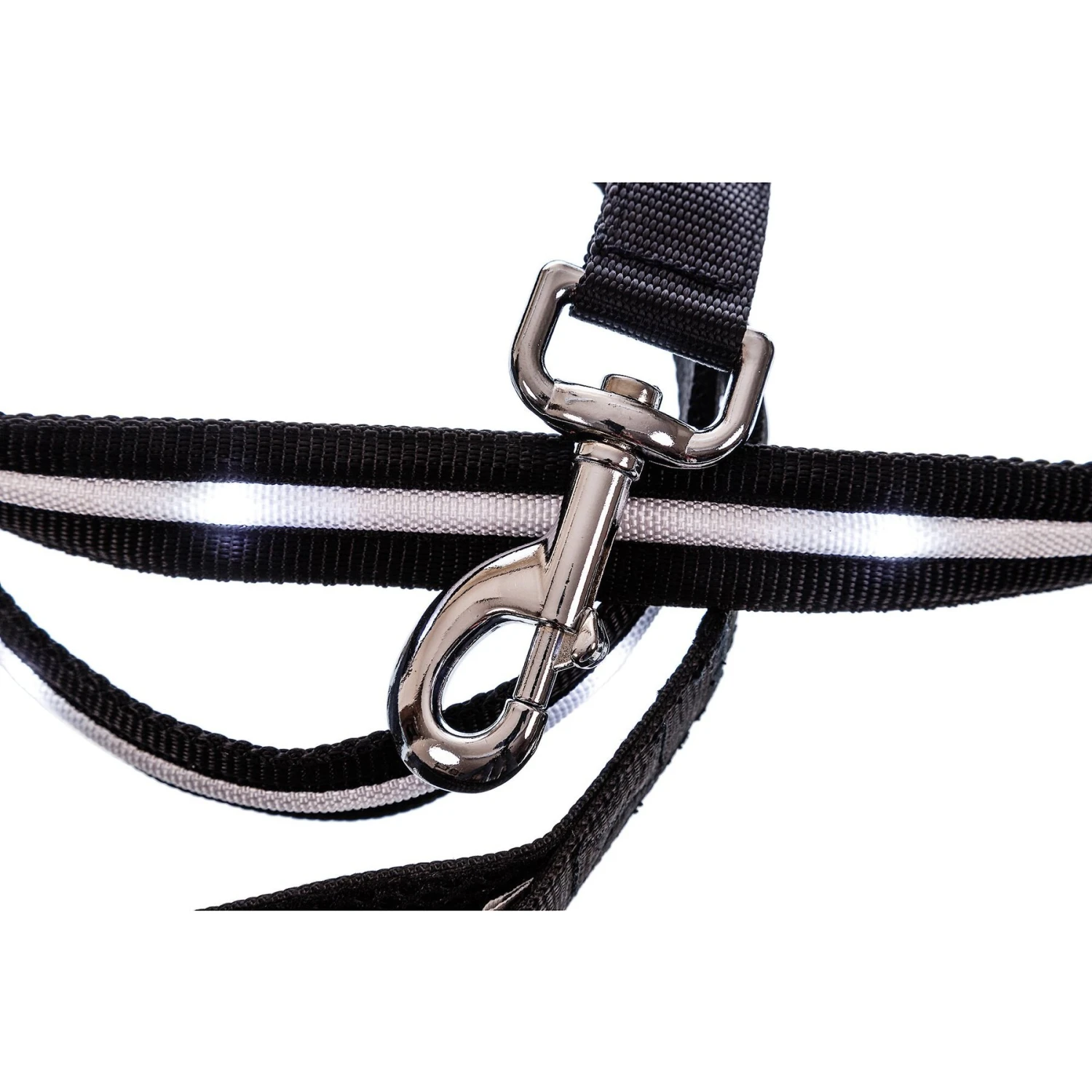 Blazin' Safety LED Dog Leash 3 Blazin' Safety LED Dog Leash - Image 3