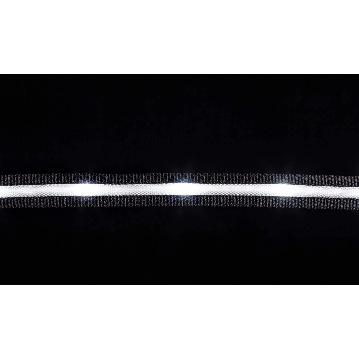 Blazin' Safety LED Dog Leash 8 Blazin' Safety LED Dog Leash - Image 8