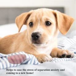 Pet Fit For Life Calming Dog Heartbeat Unit, Red, Small -PetSafe Kong Shop 363335 PT4. AC SS1800 V1642776090