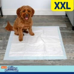 Hartz Home Protection No Odor No Leaks Mountain Fresh Scented XX-Large Dog Pads -PetSafe Kong Shop 363516 PT5. AC SS1800 V1689018344