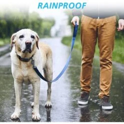 PATPET P303 1000ft Remote Dog Training Shock Collar -PetSafe Kong Shop 363519 PT4. AC SS1800 V1644907364