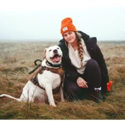 PATPET P303 1000ft Remote Dog Training Shock Collar -PetSafe Kong Shop 363519 PT6. AC SS1800 V1644922016