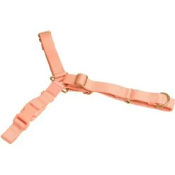 Awoo Roam No Pull Dog Harness