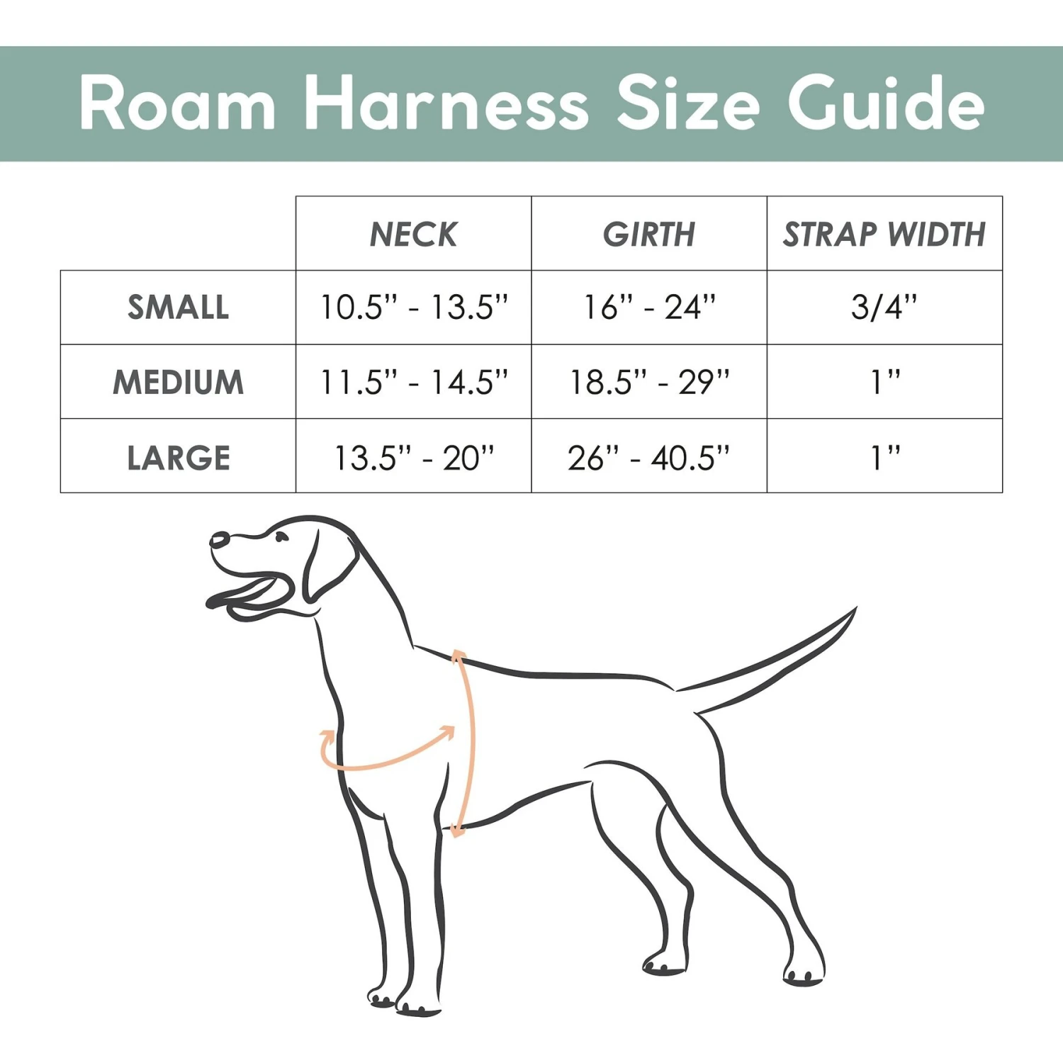 Awoo Roam No Pull Dog Harness 3 Awoo Roam No Pull Dog Harness - Image 3