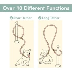 Awoo Infinity Standard Dog Leash, 7-ft Long 15 Awoo Infinity Standard Dog Leash, 7-ft Long -PetSafe Kong Shop 363704 PT6. AC SS1800 V1643758968