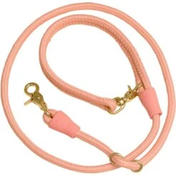 Awoo City Standard Dog Leash, 5-ft Long