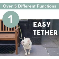 Awoo City Standard Dog Leash, 5-ft Long -PetSafe Kong Shop 363709 PT2. AC SS1800 V1643776649