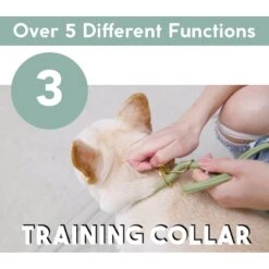 Awoo City Standard Dog Leash, 5-ft Long -PetSafe Kong Shop 363709 PT4. AC SS1800 V1643777721